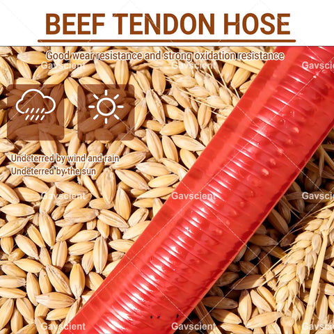 Close-up of red beef tendon hose over grain, part of Multipurpose Industrial Screw Auger Conveyor Portable Granule Transfer Workhorse Machine