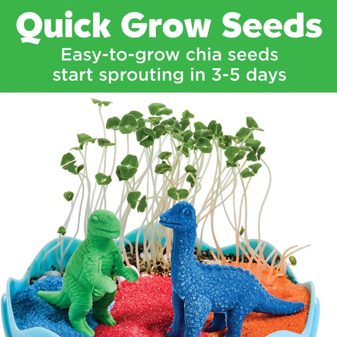 Mini Garden Dinosaur Terrarium Kit For Kids A Fun Dinosaur Craft Toy And Science Kit For Boys Ages Six And Up Grow Your Own Dino Egg Terrarium With Quick Grow Seeds And Jurassic Decor