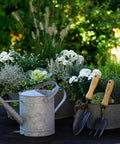 Compact Garden Fork For Tight Spaces next to a watering can amidst garden plants, showcasing its use in small gardens.