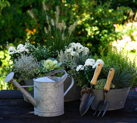 Compact Garden Fork For Tight Spaces next to a watering can amidst garden plants, showcasing its use in small gardens.