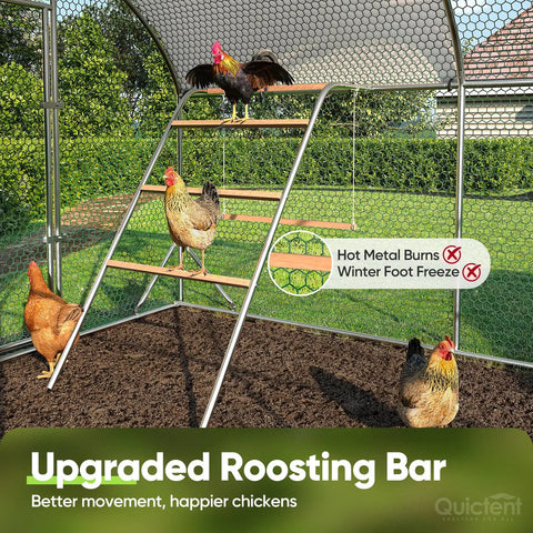 Chickens using ladder in Essential Series 18x9x6.6ft Metal Chicken Coop Run With Climbing Ladder Walk In Outdoor Poultry Cage