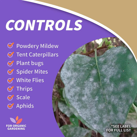 List of pests controlled by Insecticidal Soap Ready to Use Spray for Organic Gardening including aphids and spider mites.