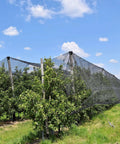 Garden Insect Mesh Netting For Plants And Patio Durable Mosquito Barrier Screen installed over a garden area for pest protection.