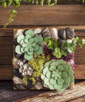 Decorative felt succulents with rocks on wood background, representing natural decor craft inspiration