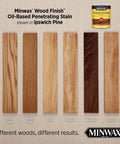 Slick Top Shelf Oil Based Wood Stain In Warm Ipswich Pine Shade shown on various wood samples for comparison.