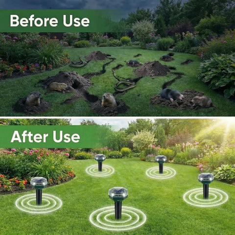 Comparison of lawn before and after using Solar Powered Ultrasonic Mole And Gopher Repeller Pack Of Four Waterproof Outdoor Pest Deterrents