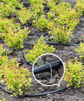 100 Pack Drip Irrigation Tubing Stakes Six Inch Garden Pins used in soil to secure irrigation hose around plants