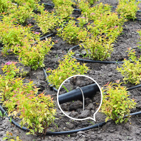 100 Pack Drip Irrigation Tubing Stakes Six Inch Garden Pins used in soil to secure irrigation hose around plants
