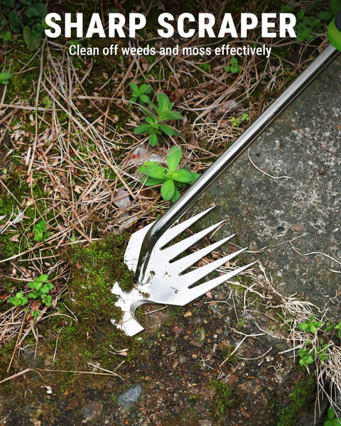 15 Inch Weed Puller Tool With 6 Tine Deep Root Remover Stainless Steel Hand Weeder removing weeds from pavement