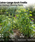 7 Foot Tall Garden Arch Trellis For Outdoor Climbing Plants heavy duty metal archway in vegetable garden with lush vines