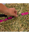 Bale Band For Hay Hauling Made Easy With Durable Webbing And Heavy Duty Cam Buckle Snaps On Smoothly Tightens Quickly And Lets You Lift Neatly Tied Hay With An Ergonomic Rubber Handle Raspberry Band in use on hay bale.