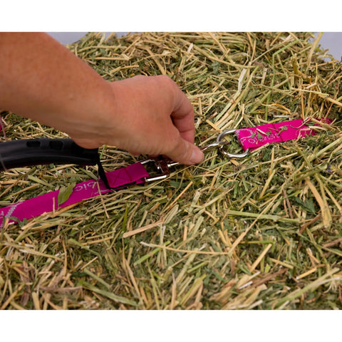 Bale Band For Hay Hauling Made Easy With Durable Webbing And Heavy Duty Cam Buckle Snaps On Smoothly Tightens Quickly And Lets You Lift Neatly Tied Hay With An Ergonomic Rubber Handle Raspberry Band in use on hay bale.