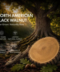 North American Black Walnut log with visible tree trunk, 80+ years to mature, strong and durable, naturally sustainable.