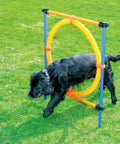 Dog jumping through ring in All In One Dog Agility Training Kit For Backyard And Park Play With Adjustable Hurdles Weave Poles Jump Ring