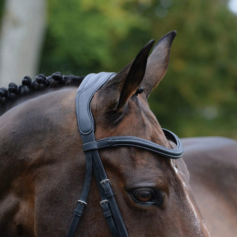 Side view of horse with ComFiTec Vogue Anatomical Bridle With Ultra Soft Padding Headpiece, brown leather, curved nose piece.