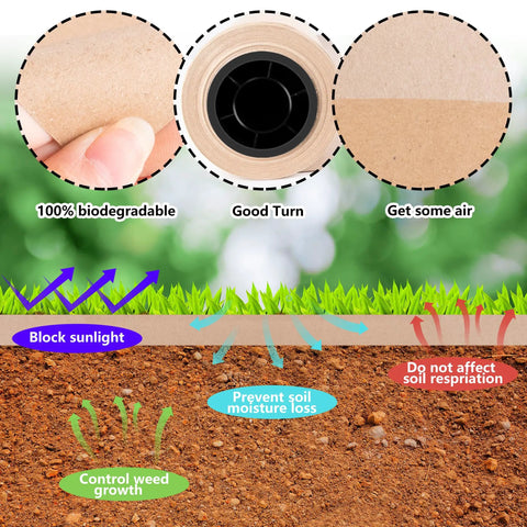 Diagram showing Heavy Duty Biodegradable Paper Weed Barrier Roll 3 X 100 Ft For Outdoor Gardens And Lawns blocking weeds and nurturing crops.