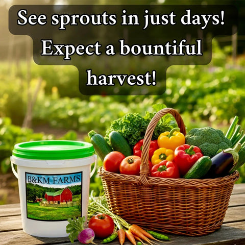 Epic Heirloom Survival Seed Kit With 100,000 Plus Seeds, 50 Plus Non GMO Varieties, weatherproof bucket and vegetable basket