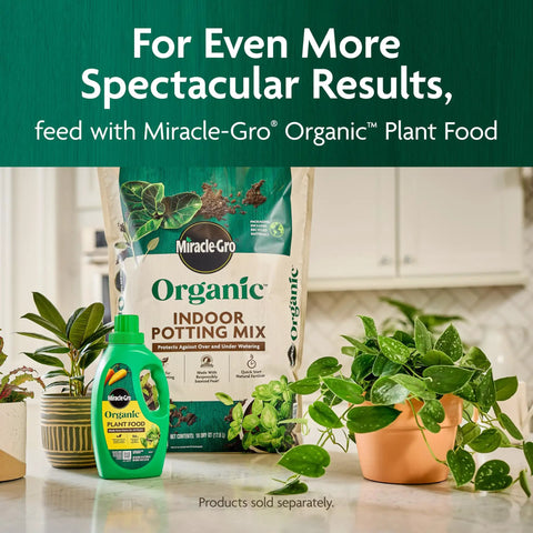 Organic Indoor Potting Mix With Smart Moisture Regulation Keeps Soil Balanced So Your Houseplants Stay Happy Not Flopped Or Parched Made With Premium Sphagnum Peat Moss For Strong Roots And Lush Growth Perfect For Any Indoor Garden Setup 16 Quarts with Miracle-Gro Organic Plant Food in a home setting.