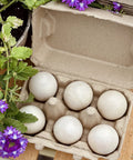 Six Jumbo Duck Egg Cartons Pack With Blank Top For Custom Labels Each Carton Holds Six Large Eggs Ideal For Farm Fresh Or Backyard Eggs Eco Friendly Paper Pulp 100 Pack next to flowers