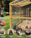 Rock Solid 304 Stainless Steel Hardware Cloth Mesh 1/4 Inch 22 Gauge Chicken Wire Fence protecting chickens from pests.