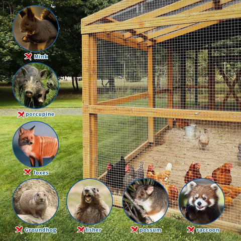Rock Solid 304 Stainless Steel Hardware Cloth Mesh 1/4 Inch 22 Gauge Chicken Wire Fence protecting chickens from pests.