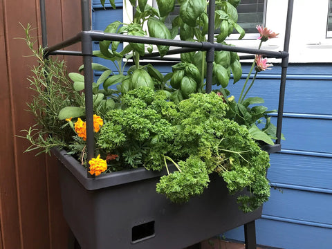 Self Watering Vertical Garden Tower With Trellis Frame And Greenhouse Cover For Vegetables And Flowers 4.35 Gallon Water