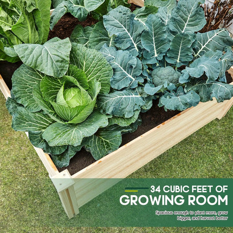 Wood Raised Garden Bed 8x4 Ft With 15 Inch Depth Open Base Planter For Vegetables Herbs And Flowers showing leafy greens growing.