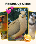 Close-up of birds captured by Smart Solar Powered Bird Feeder With Camera, Slow Motion Video And Night Insight, AI Identifies 6000 Plus Species.
