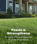 Lush green lawn in front of a house, demonstrating All Grass Types Lawn Fertilizer Twin Pack For 5000 Sq Ft Coverage 12.5 Lb effectiveness.