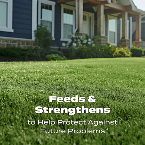 Lush green lawn in front of a house, demonstrating All Grass Types Lawn Fertilizer Twin Pack For 5000 Sq Ft Coverage 12.5 Lb effectiveness.