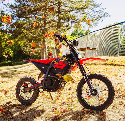 IN10 Electric Dirt Bike With 2600W Peak Motor Powers Through Rocky Trails Reaches 40 MPH 48V 23Ah Battery in autumn forest