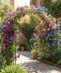 Ultra Tall Garden Arch Trellis For Climbing Plants 87 Inch Metal Plant Support Archway Perfect For Vines Grapes Cucumbers Flowers And Veggies Outdoor Yard Lawn Garden Tunnel Archway with blooming flowers