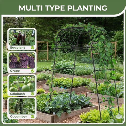 Heavy Duty Garden Arch Trellis For Climbing Plants Outdoor Metal Arbor Support For Raised Bed Cucumber Tomato Grape Plants Rust Resistant Coated Steel Frame 6.7 Ft Tall Durable Plant Stand For Veggies And Flowers in garden