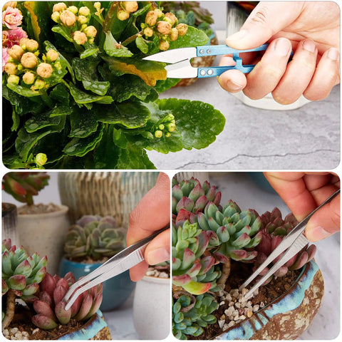 Dope Succulent Tools 19 Piece Mini Garden Tool Set For Transplanting And Plant Care With Potting Tarp Mat Indoor Outdoor Kit For Miniature Fairy Gardens And Home Plant Enthusiasts