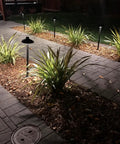 Aluminum Low Voltage Landscape Path And Area Light Kit With 6.5 Inch Shade, 18 Inch Stem illuminating a garden pathway at night
