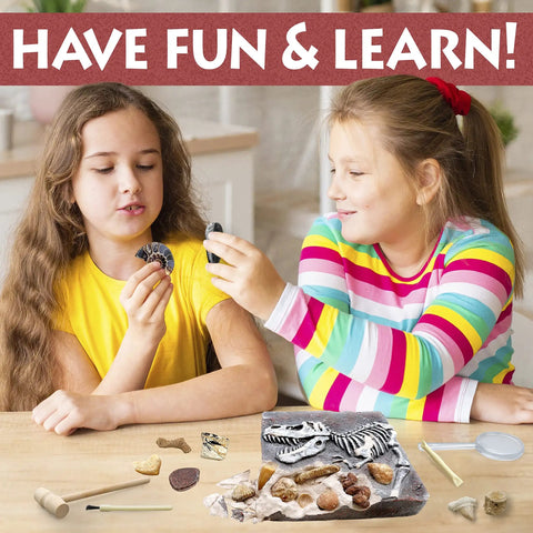 Two kids exploring Fossil Dig Kit For Kids, Excavate 15 Real Fossils, Dinosaur Bones And Shark Teeth, Paleontology STEM Fun