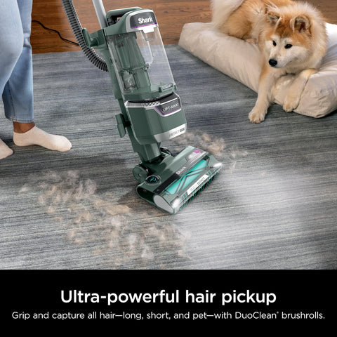 Detect Pro Lift Away ADV Bagless Upright Vacuum cleaning pet hair on carpet with DuoClean Detect and HEPA Filter in use.