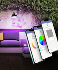 Outdoor scene with BR30 Smart Flood Light Bulb With 2.4GHz WiFi RGBW Color Changing And Dimmable Lighting, app control on smartphones.