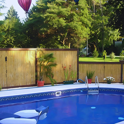 Natural Bamboo Fence Roll Panel 0.75 Inch Thick 6 Foot High By 8 Foot Long used as poolside privacy fence with plants