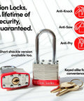 Keyed Alike 12 Pack Padlocks With 2 Inch Shackle 24 Keys Included Outdoor And Indoor Use Hardened Steel Case Pick Resistant Brass Pin Cylinder for security