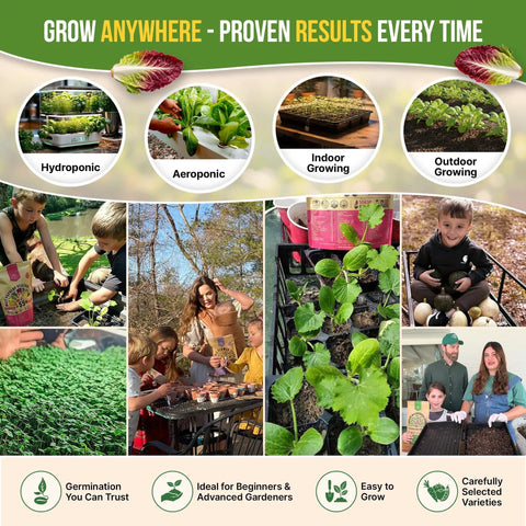 Gardening scenes displaying hydroponic and outdoor setups with 15 Variety Lettuce And Salad Greens Seeds Pack With 17700 Plus Non GMO Heirloom Seeds