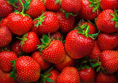 Fresh strawberries used for Organic Freeze Dried Strawberry Powder Bulk 20 Pound Bag Non GMO 100 Percent Pure No Additives Vegan Easy To Mix