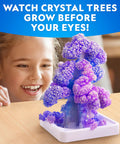 Child observing purple crystal tree from Five Types Crystal Growing Kit With Glow In The Dark Crystal Dinosaur Figure Underwater Crystals And Crystal Trees Plus Learning Guide A STEM Science Kit For Kids Totally Fun And Educational.