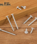 Rock Solid Size 8 By Three Quarter White Wood Screws 212 Piece Box Phillips Truss Head on wood surface.