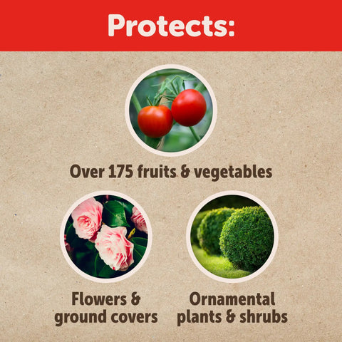 Image showing garden perimeter insect granules protect tomatoes, roses, and bushes. Text highlights protection on fruits, flowers, shrubs.