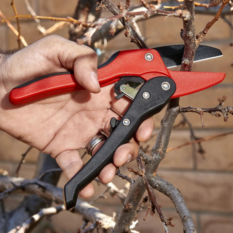 Ratcheting Hand Pruner For Thick Stems And Branches, Three-Quarter Inch Cut Capacity Garden Pruning Shears in hand cutting branch