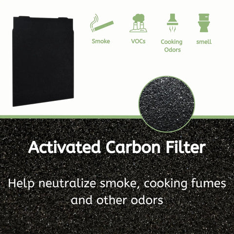 Activated carbon filter for Power Up Your Air With This Replacement True HEPA Filter Set Plus Activated Carbon Pre Filter