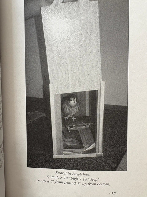 Kestrel in hawk box from Kestrel Falconry Man's Guide For Modern Training And Hunting A Practical Readable Handbook.