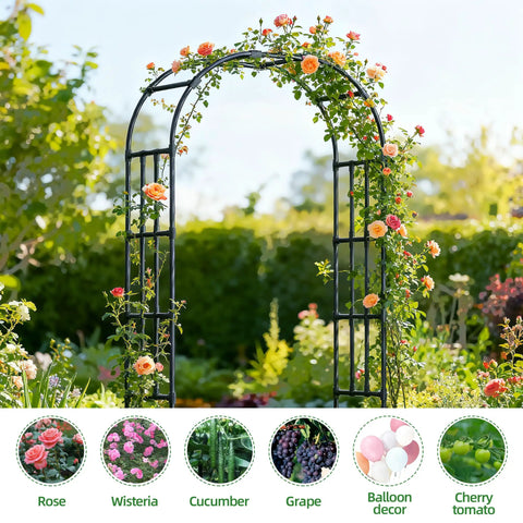 Adjustable Garden Arch Trellis 4.9x8.5 Ft Metal Outdoor Arbor for Climbing Plants covered in blooming roses, black, on a sunny day