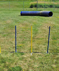 Outdoor Dog Agility Weave Pole System For Above Ground Obstacle Course Training 6 Pole Set with rustproof PVC on grass